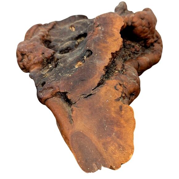 Beautiful Unique Piece of Petrified Wood MCM fossil mineral specimen healing - Picture 10 of 15